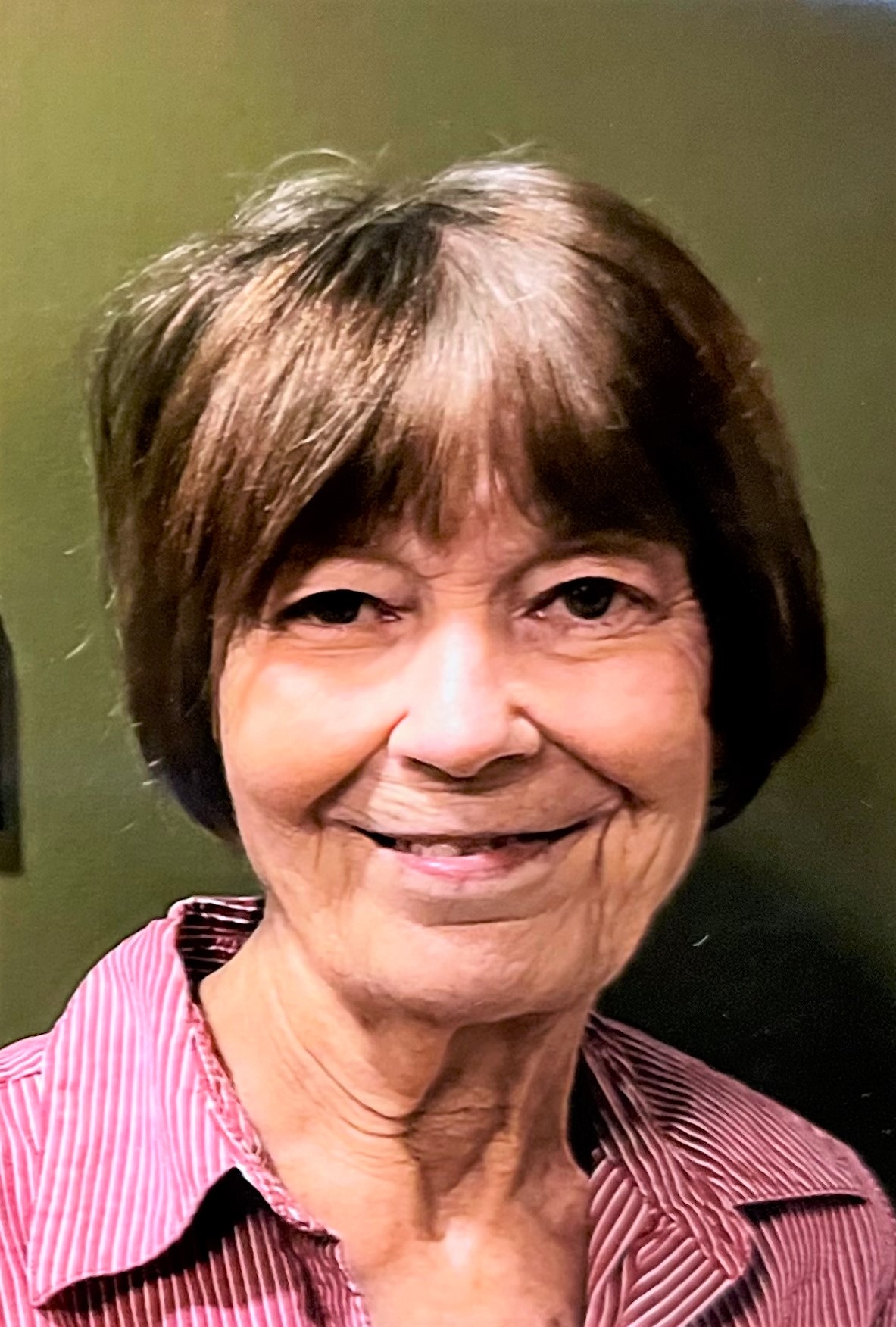 Obituary For Carol Hinkley Houghton Ponte Vedra Valley Funeral Home